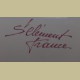 Vintage rechthoekige Franse serveerschaal, ST.Clement met haan
