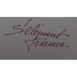 Vintage rechthoekige Franse serveerschaal, ST.Clement met haan