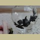 Klein Frans glazen vaasje met tinnen roosjes en schulprand