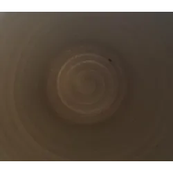 Keuls kannetje , 1/2 Liter