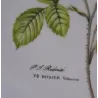 Hutschenreuther PJ.Redoute taartschaal