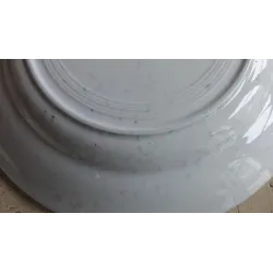 Franse brocante platte borden met groene spuitmotief roos