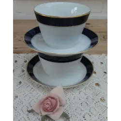 Vintage sauskom met blauwe rand, Hutschenreuther